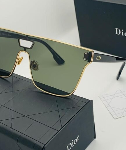 Dior Diorizon1 Sunglasses